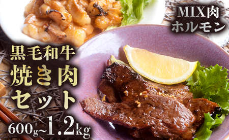 Ａ５ランク黒毛和牛 味付け肉とホルモンセット 合計1.2kg 6～8人前