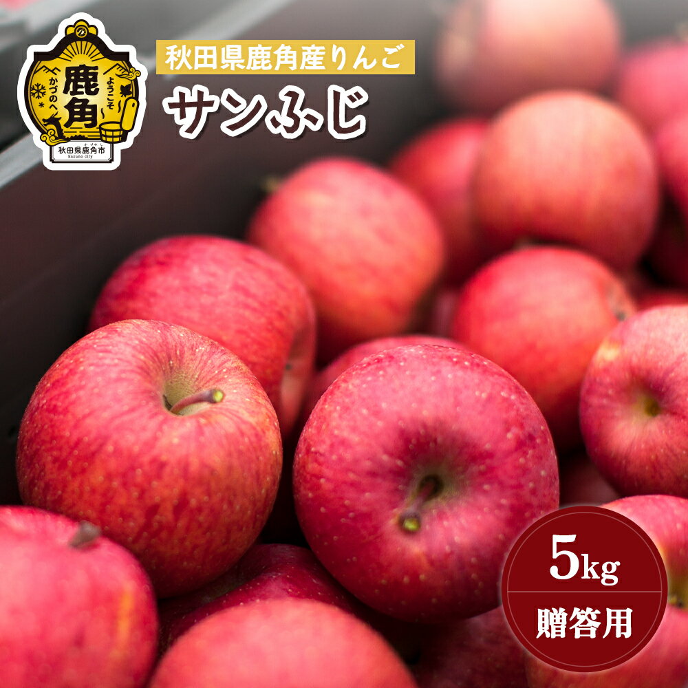 【ふるさと納税】《 先行予約 》 りんご 贈答用 サンふじ 5kg ( 14～23玉 ) 秋田県 鹿角産 りんご 食感 果汁 リンゴ 完熟 旬 県産 りんご 林檎 お中元 お歳暮 贈り物 グルメ ギフト 故郷 秋田 あきた 鹿角市 鹿角 蜜 送料無料 【山麓園】