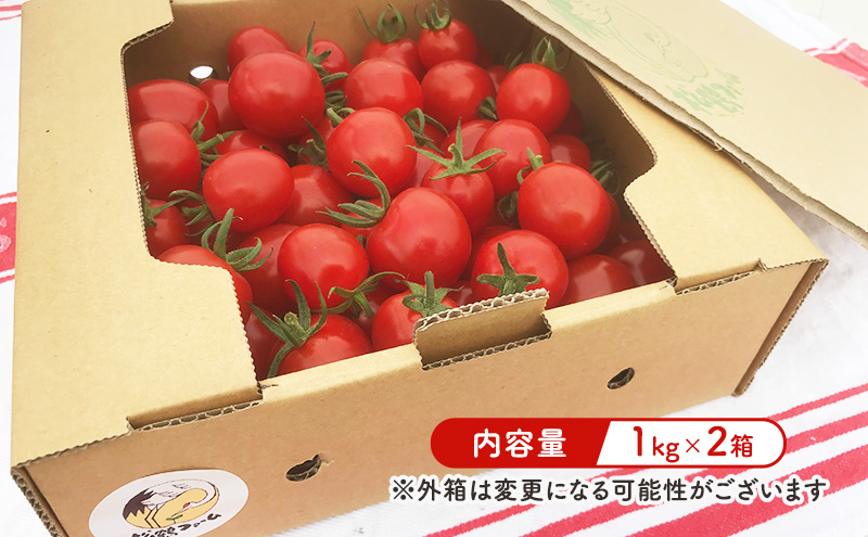【2026年発送】ミニトマト ほれまる 2kg［松鶴ファーム］野