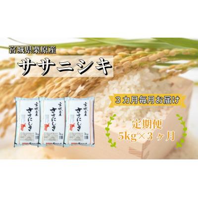 ふるさと納税 栗原市 【毎月定期便】ササニシキ白米5kg(5kg×1袋) 宮城県栗原産全3回