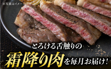 【全12回定期便】【 A5ランク 】 長崎和牛 霜降り定期便 《小値賀町》【有限会社肉の相川】 [DAR038] ロース サーロイン 切り落とし 国産 牛肉 長崎和牛 ステーキ すき焼き A5 和牛 