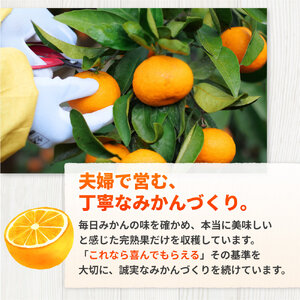 久幸園 完熟 有田みかん 2kg　※2025年11月より順次発送予定【hsk004-r-2】