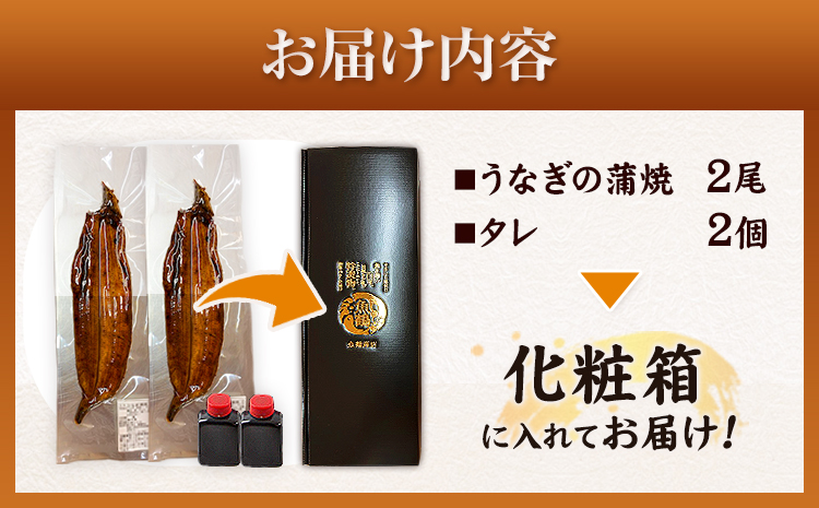 大型サイズ ふっくら柔らか国産 うなぎ 蒲焼き 2尾 化粧箱入(真空パック入) 株式会社魚鶴商店《30日以内に出荷予定(土日祝除く)》 和歌山県 日高川町 うなぎ 鰻 ギフト 贈り物(F)