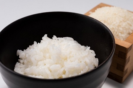 特別栽培米 こしひかり 京丹波町産 15kg 令和7年産米 【米  白米 新米 お米】 [024AGC001]