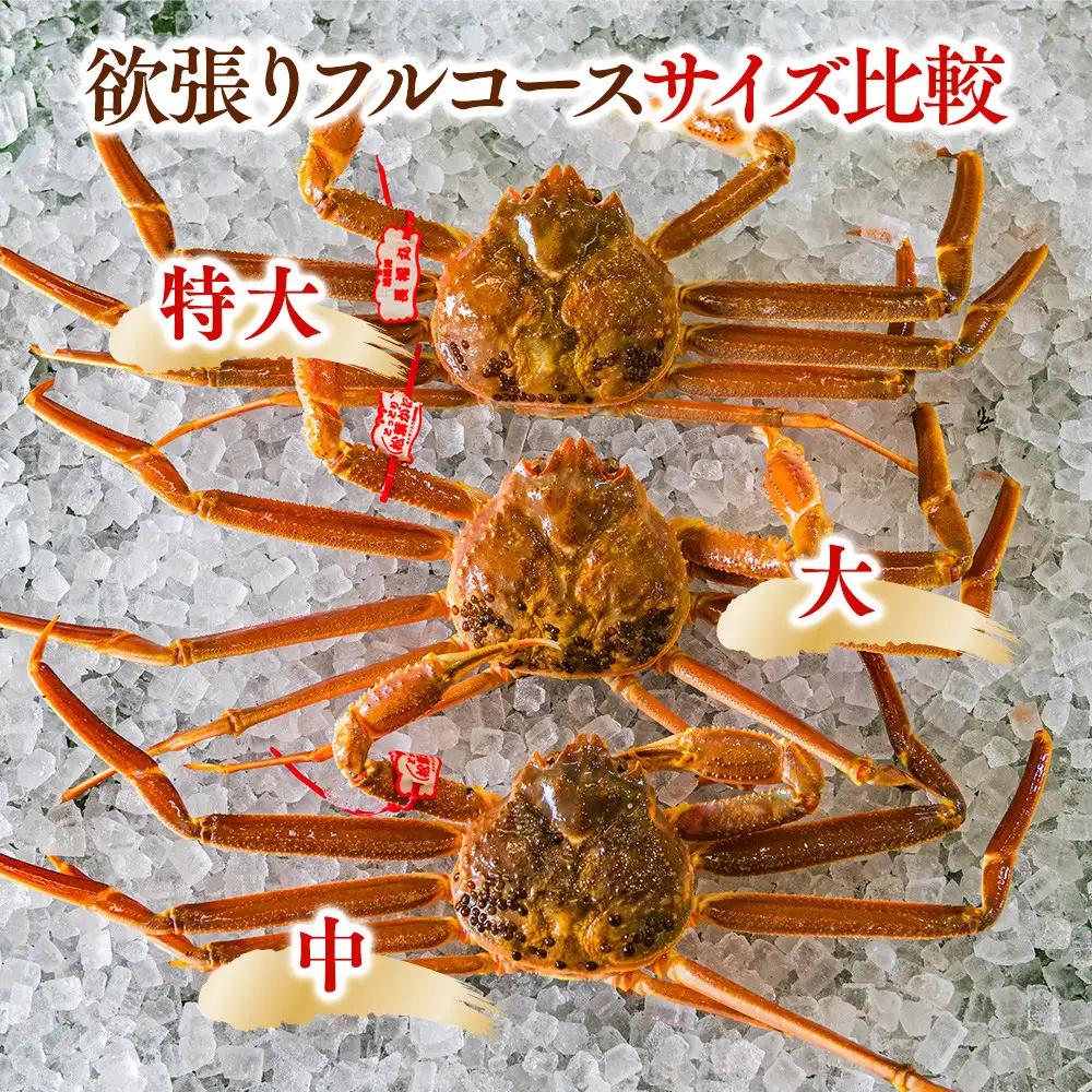 鳥取県産　タグ付きボイル松葉ガニと活松葉ガニの欲張りフルコース中2枚セット　(700g前後)  | カニ 松葉ガニ 活 ボイル 美味しさに 訳あり 大容量 　※2026年11月上旬～2027年3月下旬