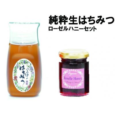 ふるさと納税 八百津町 使いやすいポリ容器入り 非加熱生はちみつ 百花とローゼルハニー セット