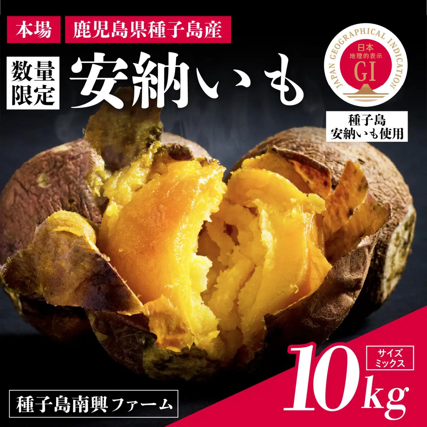 【先行予約】種子島 安納いも 10kg（S～Lサイズ：100g～400g）（種子島南興ファーム）さつまいも 本場 安納芋 安納紅 安納こがね さつま芋 甘い ねっとり スイーツ おやつ グルメ お取り寄せ 人気 種子島産 返礼品 南種子町 鹿児島【南種子町観光物産館 トンミー市場】
