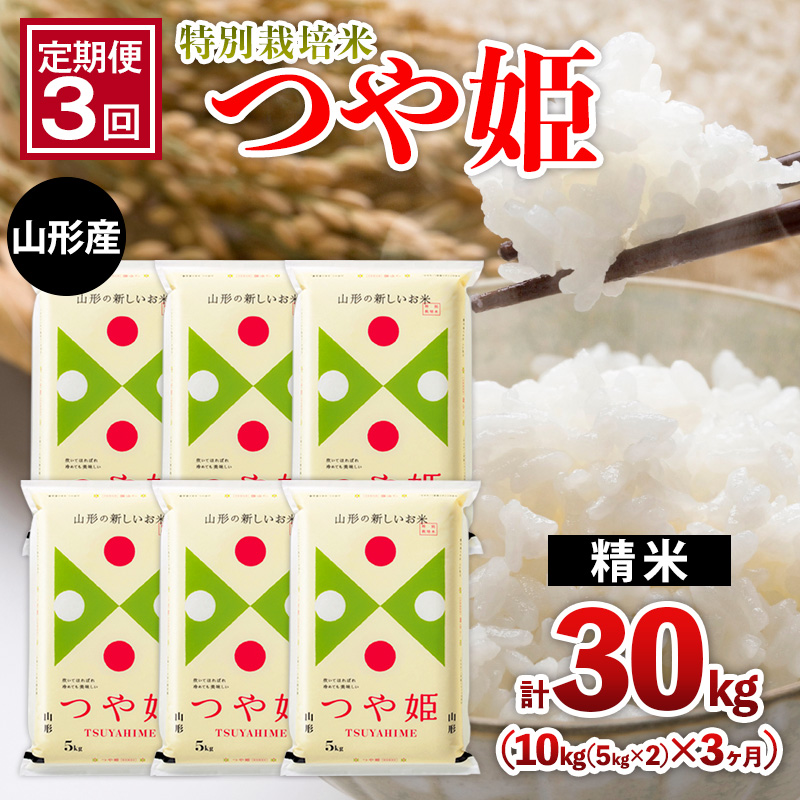 【定期便3回】山形産 特別栽培米 つや姫 10kg(5kg×2)x3ヶ月(計30kg) FY25-466