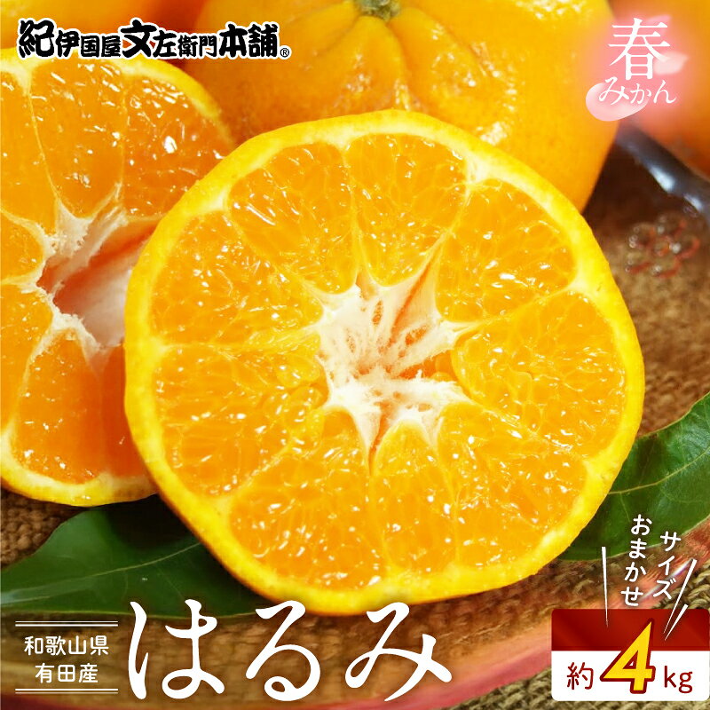 【ふるさと納税】【2027年先行予約】 はるみ 約4kg 和歌山県有田産 春みかん (果実サイズおまかせ) 春みかん 紀伊国屋文左衛門本舗