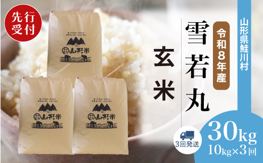 ＜令和8年産米先行受付＞ 令和9年2月中旬より配送開始 雪若丸【玄米】30kg 定期便 (10kg×3回) 鮭川村