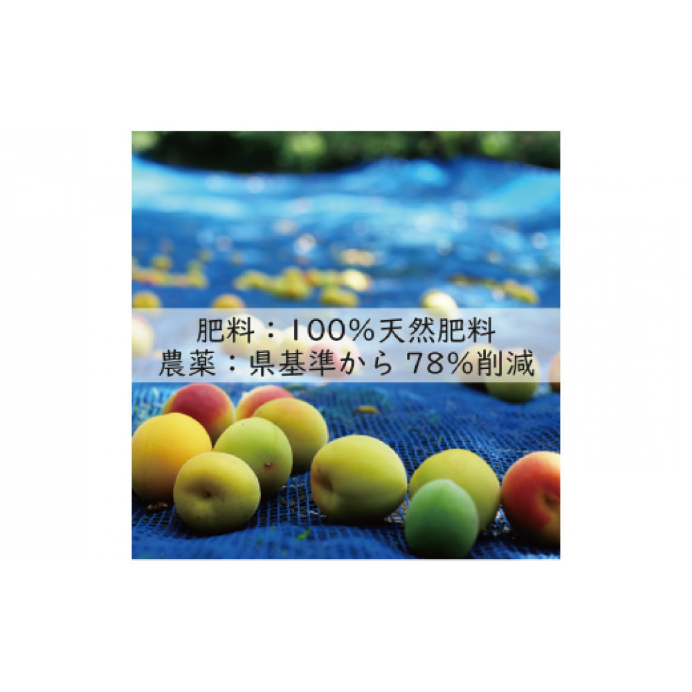 訳あり 無添加 梅干し 紀州梅香の減塩3%つぶれ梅 約1kg(500g x 2) 中~大粒 はねだし梅 紀州南高梅 産直) 3-G［KU3］
