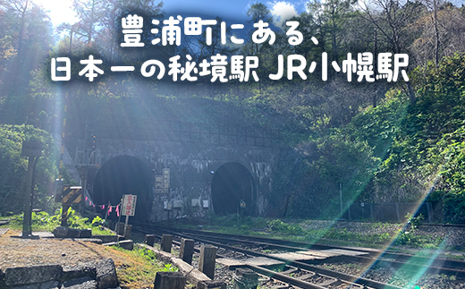 小幌駅周辺散策ツアー（3人用） TYUL027