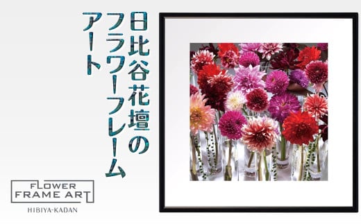 日比谷花壇のフラワーフレームアート Metropolitan Dahlias（メトロポリタンのダリア） ソフケン アルミフレーム 25x25cm