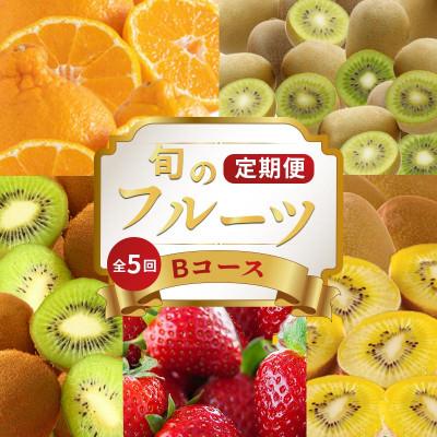 ふるさと納税 丸亀市 【発送月固定定期便】フルーツ定期便 Bコース  (キウイ3種 デコポン いちご)全5回