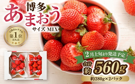 【アフター保証】 JAよりお届け！「博多あまおう」約280g×2パック【JAほたるの里】_HA1937