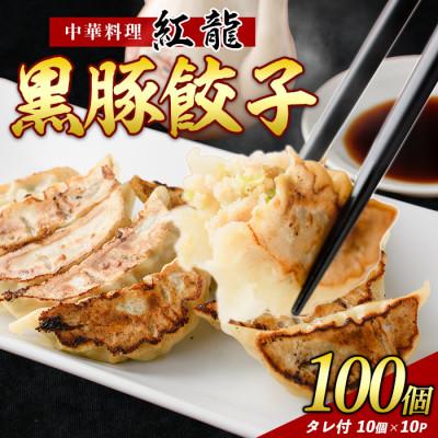 ふるさと納税 指宿市 黒豚餃子 10個入×10パック(IB131-003)