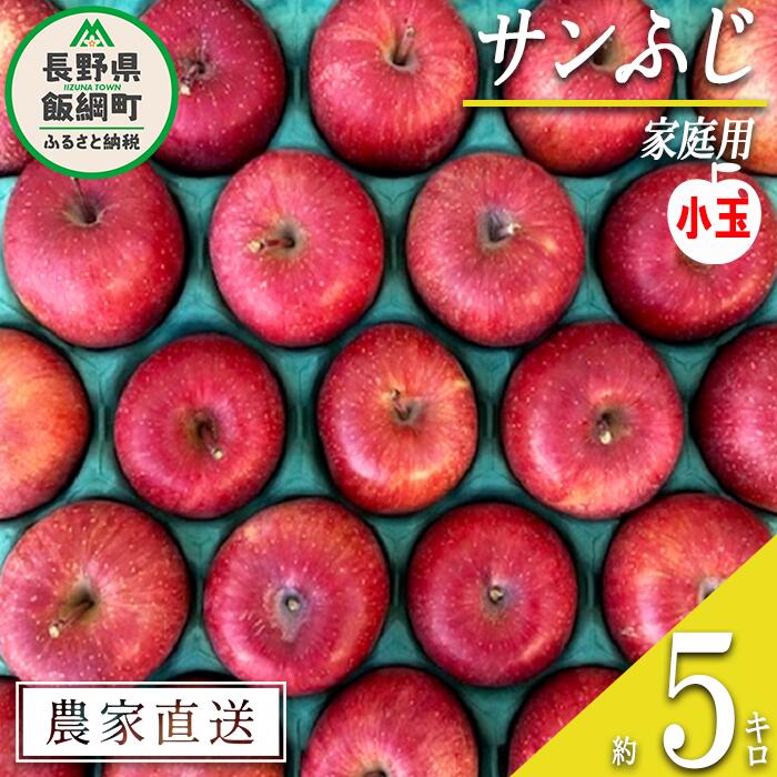 【ふるさと納税】 りんご 蜜入り サンふじ 家庭用 ( 小玉 ) 5kg サイズおまかせ 井澤農園 沖縄県配送不可 令和7年度収穫分 エコファーマー認定 長野県 飯綱町 〔 信州 果物 フルーツ リンゴ 林檎 長野 14000円 予約 農家直送 〕発送時期：2025年12月中旬〜2026年1月下旬 {**}