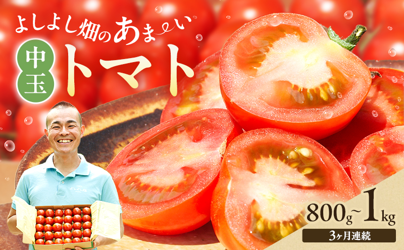 【3ヶ月連続 お届け】 よしよし畑のあま～い トマト ( 中玉トマト ) 800g ～ 1kg 計約3kg 程度 新鮮 産地直送  とまと 頒布会 定期便 おいしい おすすめ ギフト お取り寄せ