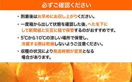 【10月より順次発送】温州みかん 10kg フルーツ 果物 ふるーつ フルーツ ふるーつ[AGBC006]
