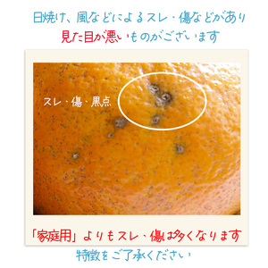 【2027年1月上旬頃から順次発送】伊予柑 いよかん 約10kg 【訳あり】橘類 先行予約 訳アリ ワケアリ フルーツ 柑橘類 先行予約 果物 フルーツ みかん イヨカン 宮内伊予柑 人気 おすすめ 