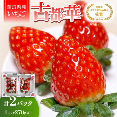【ふるさと納税】奈良県産いちご「古都華」2パック【配送不可地域：離島】【1556700】