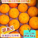 【ふるさと納税】会津身しらず柿 (訳あり・家庭用) 約4.5kg (18～22個入り) 渡部柿園産｜会津若松 訳アリ 果物 フルーツ 柿 みしらず かき カキ 会津身不知柿 令和6年 2024年 旬 [0814]