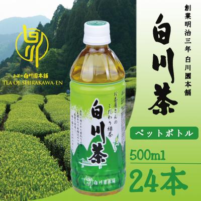 ふるさと納税 七宗町 白川茶ペットボトル500ml 24本入り