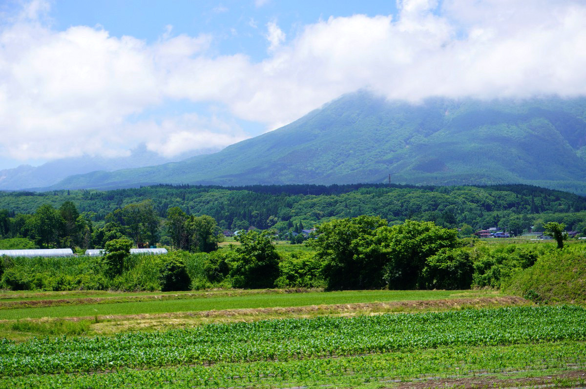 黒姫山のふもと。耕しやすく、水はけの良い火山灰土の土質が、健やかな作物を育てます