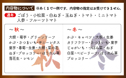 【定期便／年12回／毎月お届け】むなかた旬のお任せセット(野菜・フルーツ・お米／9～11品)【ほたるの里】_HB0029