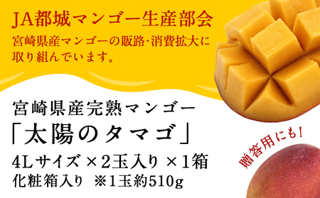 【先行受付!】宮崎県産完熟マンゴー 太陽のタマゴ【4L×2玉】化粧箱入り≪2026年5月中旬以降順次お届け≫_41-0101_(都城市) 宮崎県産 太陽のタマゴ 化粧箱入 4L 2玉 1箱 15度以上