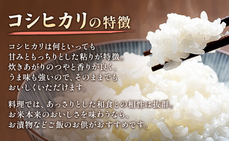 【新潟県上越市産】コシヒカリ（特別栽培米）　5kg 米 お米 こしひかり ご飯 精米 新潟 上越