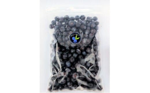 ＜北海道十勝産 希少品種＞冷凍ブルーベリー500g×10袋【1677079】