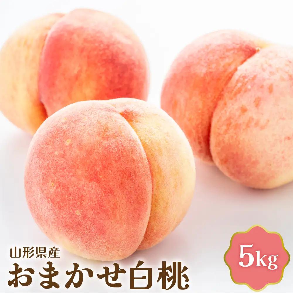 桃 白桃 5kg おまかせ 令和8年産 山形県産 桃 フルーツ