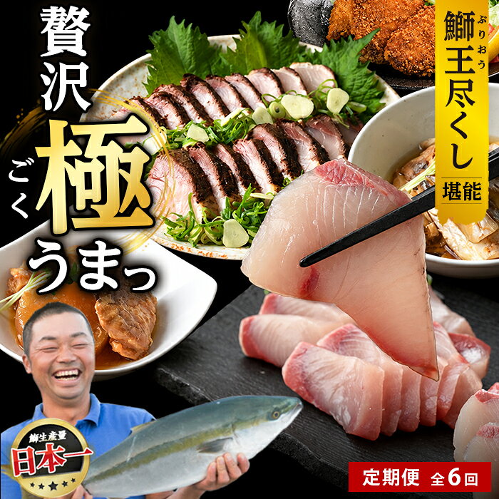 【ふるさと納税】＜定期便・毎月発送 全6回＞「鰤王」を味わいつくす定期便 鹿児島県 長島町 産産地直送 新鮮 ブランド ぶり 鰤 ブリ 切り身 刺身 ぶりしゃぶ しゃぶしゃぶ 魚 魚介 人気 ランキング 鰤カツ 漬け魚 漬け丼 鰤大根 あら煮【JFA】jfa-1683S