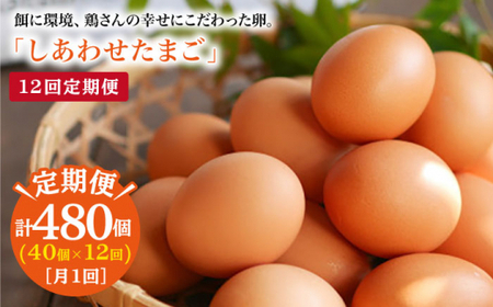 【毎月40個×12回定期便】平飼い「しあわせたまご」計480個＜松本養鶏場＞ [CCD030]