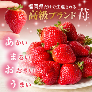 【先行予約】プレミアムオーガニックあまおう 「いせいちご」 スペシャルギフト _HA0480 | いちご あまおう