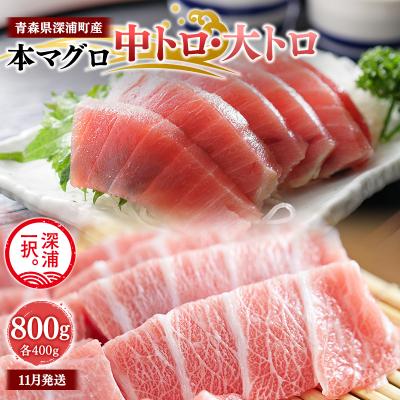 ふるさと納税 深浦町 青森県深浦町産 天然本マグロ 中トロ 大トロ 800g 各400g  冷凍柵