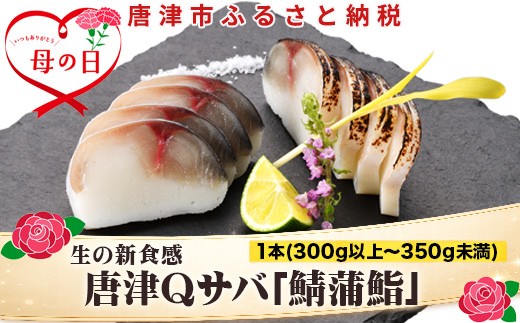 
                  「母の日」生の新食感 唐津Qサバ「鯖蒲鮨」1本(300g以上～350g未満) さば 蒲鉾 かまぼこ おつまみ ギフト 鯖 サバ 唐津 Qサバ 鯖鮨 呼福 大志 水産 魚 海鮮 水産加工
                