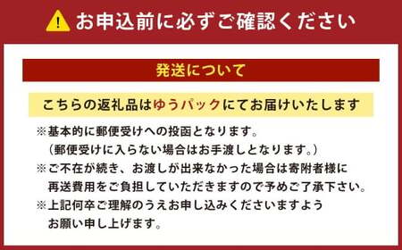 阪南国際ホテル (HANNAN INTERNATIONAL HOTEL) 宿泊利用 割引券 10,000円分