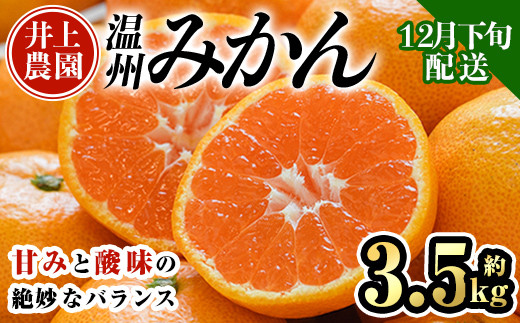 ＜先行予約受付中！12月下旬より順次発送予定＞数量限定 大分県宇佐市産 温州みかん(約3.5kg)みかん ミカン 蜜柑 柑橘 フルーツ 果物 くだもの 果実 国産【103670600】【井上農園】