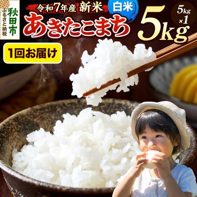 ふるさと納税 秋田市 《令和7年産新米》 あきたこまち 5kg 白米|15_mge-010501h