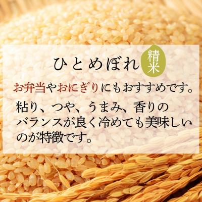 ふるさと納税 東松島市 【令和7年産】【新米】 ひとめぼれ 精米 10kg × 1袋 宮城県産東松島市農家直送 |  | 02