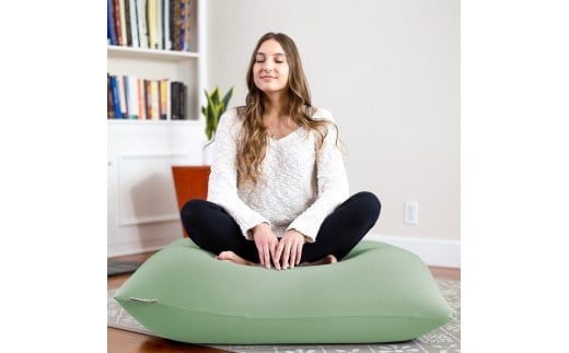 Yogibo Mini Premium（ヨギボー ミニ プレミアム）ピスタチオ