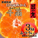 【ふるさと納税】日の丸みかん「千兩」3kg　約25～35個/LまたはMサイズ/光センサー使用【C79-6】【1452029】