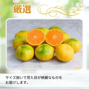 ハウスみかん 2.5kg+250g(傷み補償) 厳選 / ハウスミカン 温室みかん 有田みかん 甘い 和歌山 柑橘 ※7月中旬～8月下旬に順次発送 ※北海道・沖縄・離島への配送不可 【ikd002-p