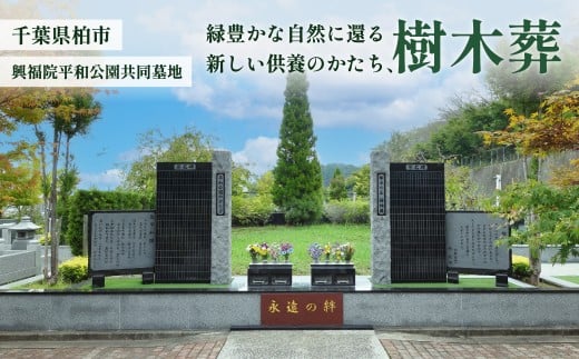 興福院平和公園共同墓地 樹木葬 〈 樹木葬 納骨 永代管理 宗教宗派不問 墓じまい ふるさと納税 柏市 〉