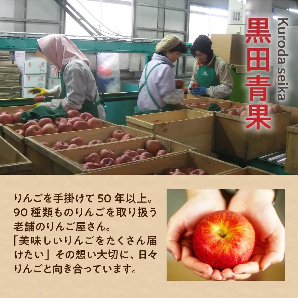 【2027年2月前半発送】【ちょっと訳あり】 りんご 約3kg サンふじ 青森県産 りんご