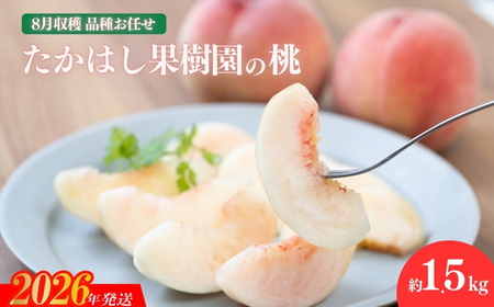 No.1905たかはし果樹園の桃　8月収穫約1.5kg【2026年発送 先行予約】