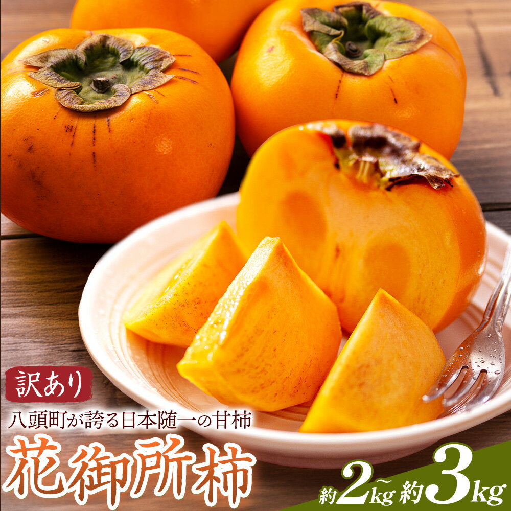 【ふるさと納税】ご家庭用 柿 八頭町が誇る 日本随一の 甘柿 花御所柿 選べる 約2kg 約3kg Tottori食のまごころ農園 《12月上旬-12月下旬頃出荷》鳥取県 八頭町 柿 かき カキ 花御所柿 甘柿 果物 フルーツ 訳あり