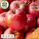 【ふるさと納税】 りんご サンふじ 訳あり 10kg 宮本ファーム 令和6年度収穫分 長野県 飯綱町 〔 傷 不揃い わけあり リンゴ 林檎 果物 フルーツ 信州 長野 16000円 予約 農家直送 〕 発送時期：2024年12月上旬～2024年12月下旬